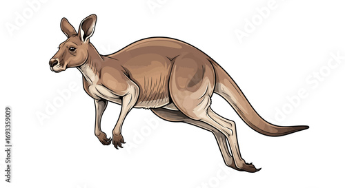 A detailed illustration of a brown kangaroo in a dynamic hopping pose, viewed from the side against a plain white background.
