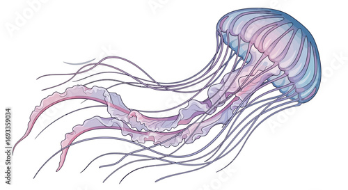 Vibrant illustration of a graceful jellyfish with a translucent bell and long, delicate tentacles in shades of purple and pink.