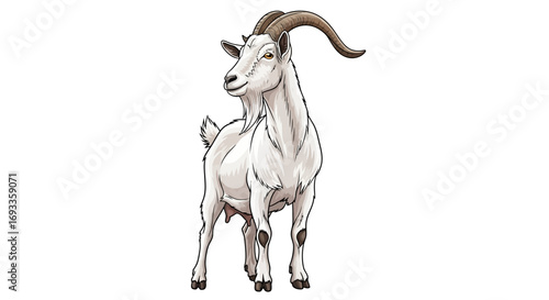 Illustration of a white goat with curved horns standing on a white background.