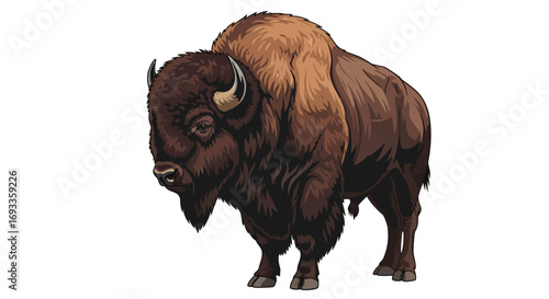 Illustration of a brown bison with horns standing on a white background.