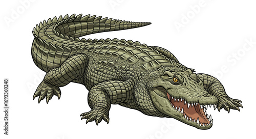 Detailed illustration of a large, powerful crocodile with an open mouth and sharp teeth, depicted in a realistic style.
