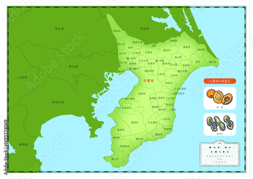 学習用教材、日本の千葉県の地図と特産品「びわ」「落花生」Educational materials, map of Chiba prefecture in Japan and its local specialties "loquats" and "peanuts"