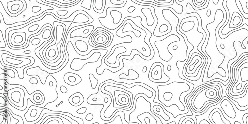 Dense black and white topographic contour map lines creating a complex abstract organic pattern with intricate flowing curves and detailed irregular shapes for graphic design