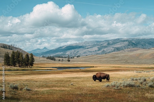 Bison in a vast valley under a partly cloudy sky