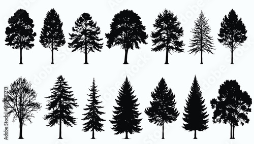 Detailed vector silhouettes of diverse trees with unique shapes and branches—perfect for nature graphics, environmental campaigns, and ornamental design applications.