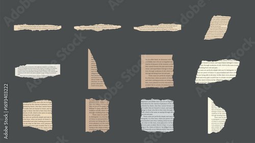 12 Multicolored Ripped Paper Scraps with Text
