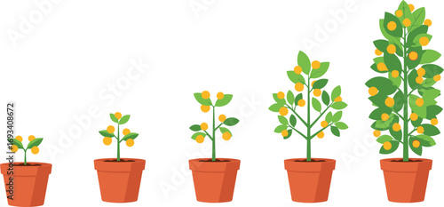 Vector illustration of plant growth stages in pots representing agriculture, development, investment progress, farming, gardening, nature, success and productivity.