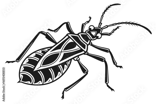 Assassin bug sihouette black vector