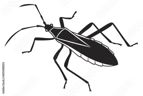 Assassin bug sihouette black vector