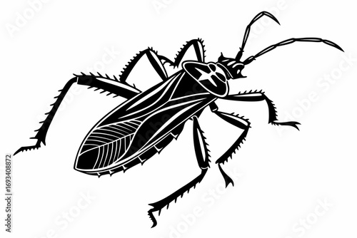 Assassin bug sihouette black vector