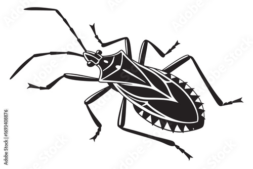 Assassin bug sihouette black vector