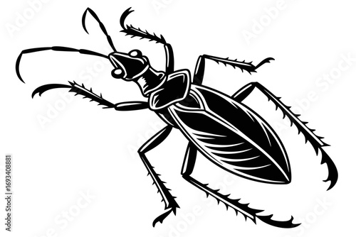 Assassin bug sihouette black vector