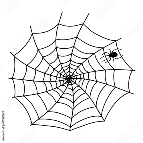Intricate spider web with a spider at the corner against a plain background
