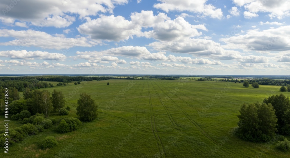 Obraz premium Vast Green Meadow Under a Blue Sky with Puffy White Clouds