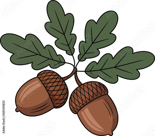 Autumn oak leaves and acorns silhouette design
