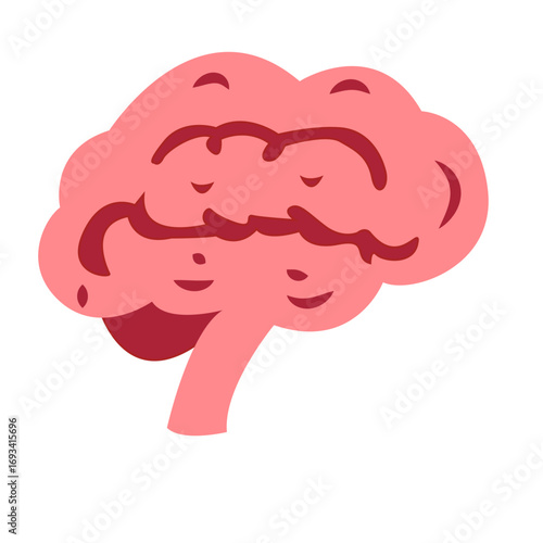Human brain in pink with visible folds and brainstem. Great for neuroscience graphics, anatomy education, or medical illustrations.