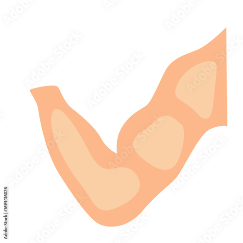 Bent human arm highlighting elbow joint. Suitable for anatomy diagrams, sports medicine graphics, or physiotherapy illustrations.