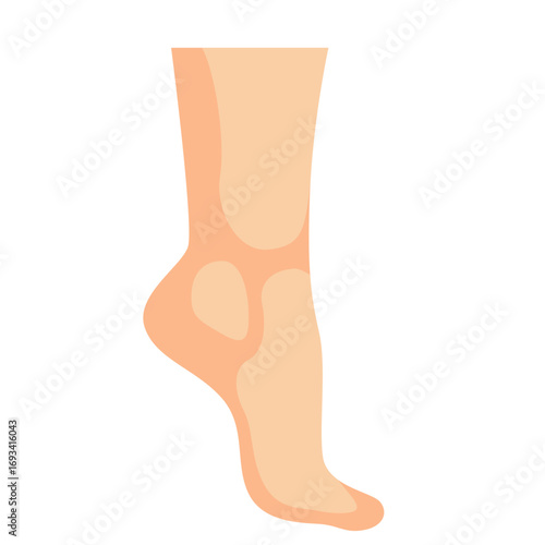 Human foot and ankle illustration. Ideal for anatomy education, podiatry visuals, or medical and wellness-related designs.