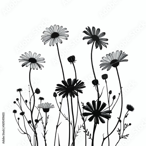 A collection of vector illustrations showing a variety of black-and-white silhouettes of flowers and plants with a soft, ethereal glow.