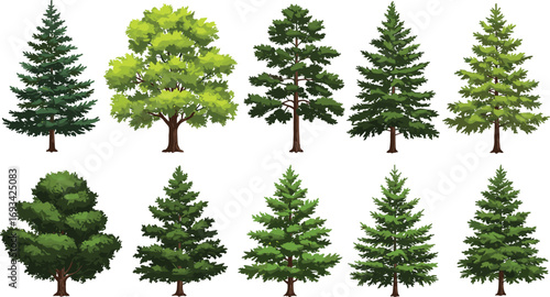 Collection of diverse green trees vector illustrations, various pine and deciduous trees, forest, nature, environment, landscape, isolated, seasonal foliage, natural beauty