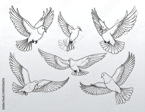 Elegant flying doves