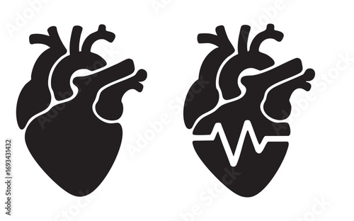 Anatomical Heart Illustrations Featuring Heartbeat Line In Black Silhouette Style Depicting Medical And Healthcare Concepts On White Background