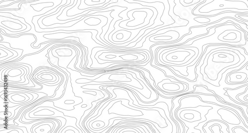 Topographic contour map. similarcartography illustration. Abstract outline grid, vector illustration. Topography and geography map grid abstract backdrop. 