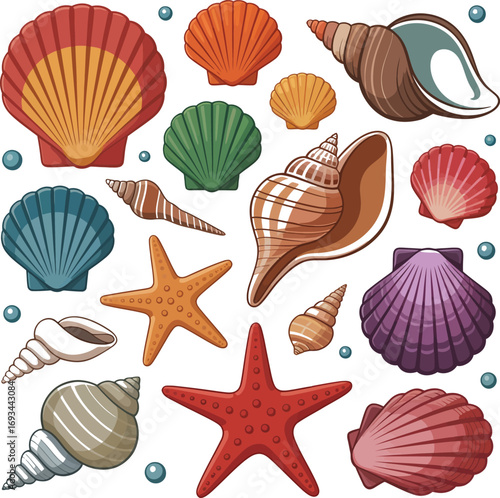 Collection of marine life shells and starfish silhouette illustration