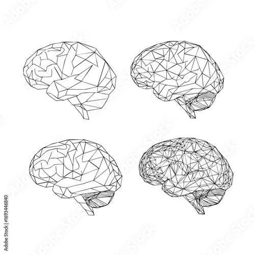 A set of four human brains illustrated in a black and white polygonal wireframe style.