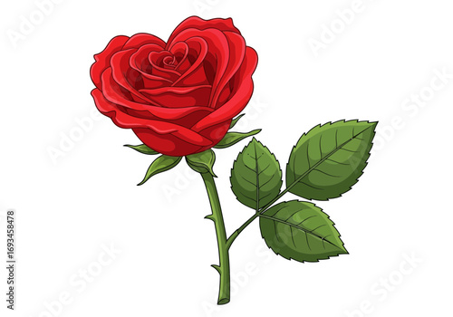 Red rose with heartshaped petals