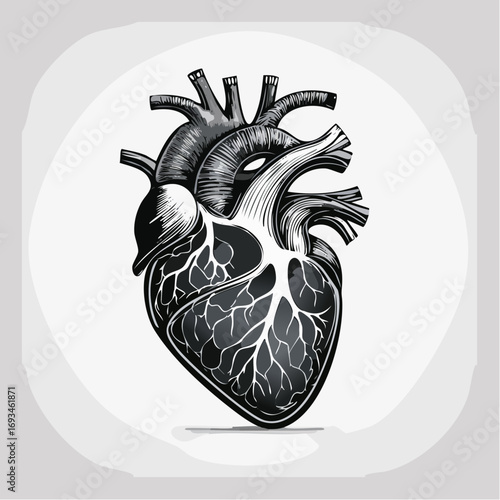 Anatomical heart drawing in black and white shows intricate details against a soft gray backdrop, evoking a sense of medical precision and artistic expression.