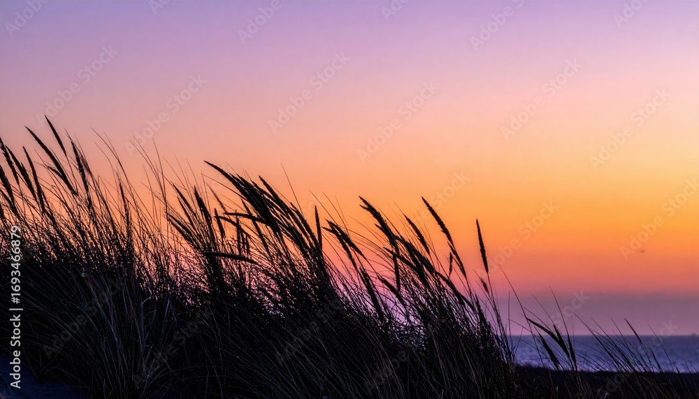 Fototapeta premium Dune grass silhouettes at twilight gradient sky wallpaper representing natural coastal detail suitable for atmospheric seascape design