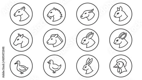 Outline icons of various farm animal heads and a duckling Keywords: horse head, goat head, cow head, kangaroo head, rabbit head, duck, chicken, farm animals, animal heads, livestock, wildlife
