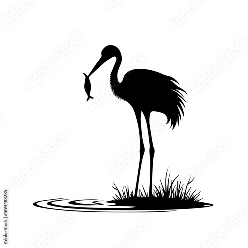 vector illustration of a flamingo silhouette , flamingo, bird, animal, vector, silhouette, illustration, nature, heron, pink, wildlife, crane, black, birds, white, ostrich, beak, isolated, cartoon, wi