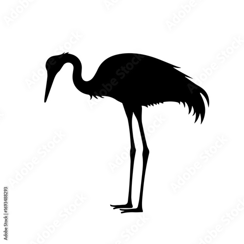 vector illustration of a flamingo silhouette , flamingo, bird, animal, vector, silhouette, illustration, nature, heron, pink, wildlife, crane, black, birds, white, ostrich, beak, isolated, cartoon, wi