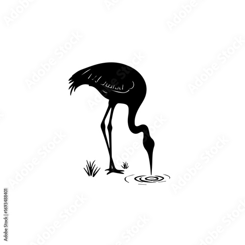 vector illustration of a flamingo silhouette , flamingo, bird, animal, vector, silhouette, illustration, nature, heron, pink, wildlife, crane, black, birds, white, ostrich, beak, isolated, cartoon, wi