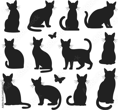 Flat vector illustration of cat silhouettes, various cat poses, sitting and standing cats, playful and calm feline shapes, domestic cat concept, cat and butterfly interaction