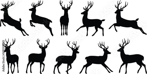 Deer silhouette vector set, wild stag illustrations, black reindeer outline, isolated design elements for Christmas, forest, hunting, wildlife projects.