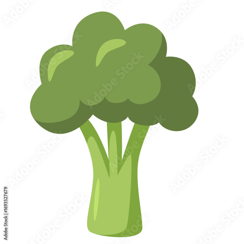 Green broccoli with rounded florets. Perfect for diet-themed graphics, healthy eating designs, or vegetarian visuals.