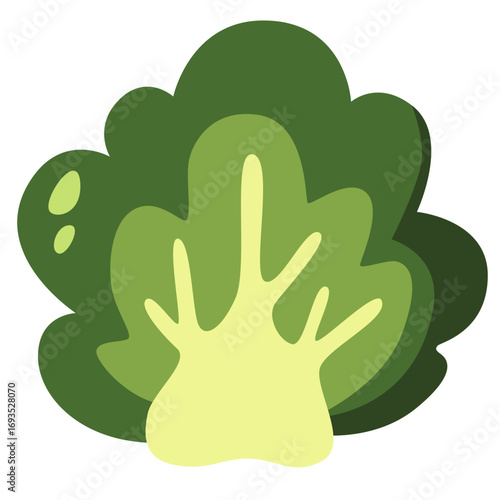 Green and yellow broccoli in cartoon style. Great for healthy eating designs, recipe illustrations, or vegetarian food graphics.