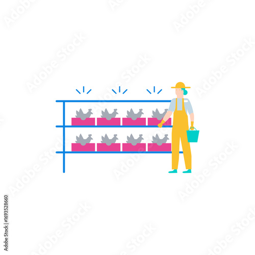 Rearing chickens.Farmer tending to chickens in tiered cages isolated on transparent background.