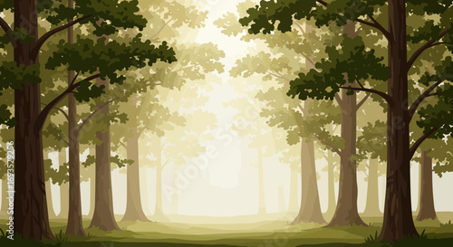 A forest with tall trees dense foliage and a hazy sunlit clearing