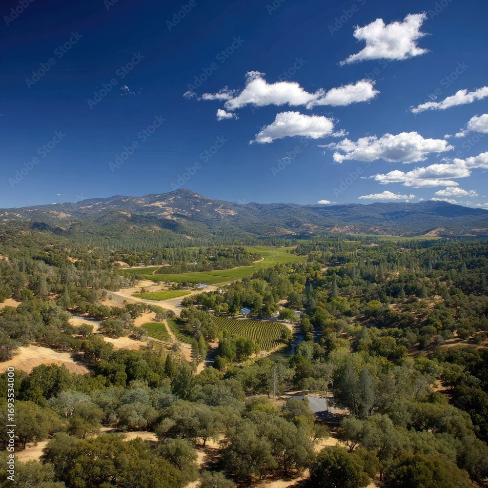 Obraz premium California Valley Landscape With Mountains And Vineyards
