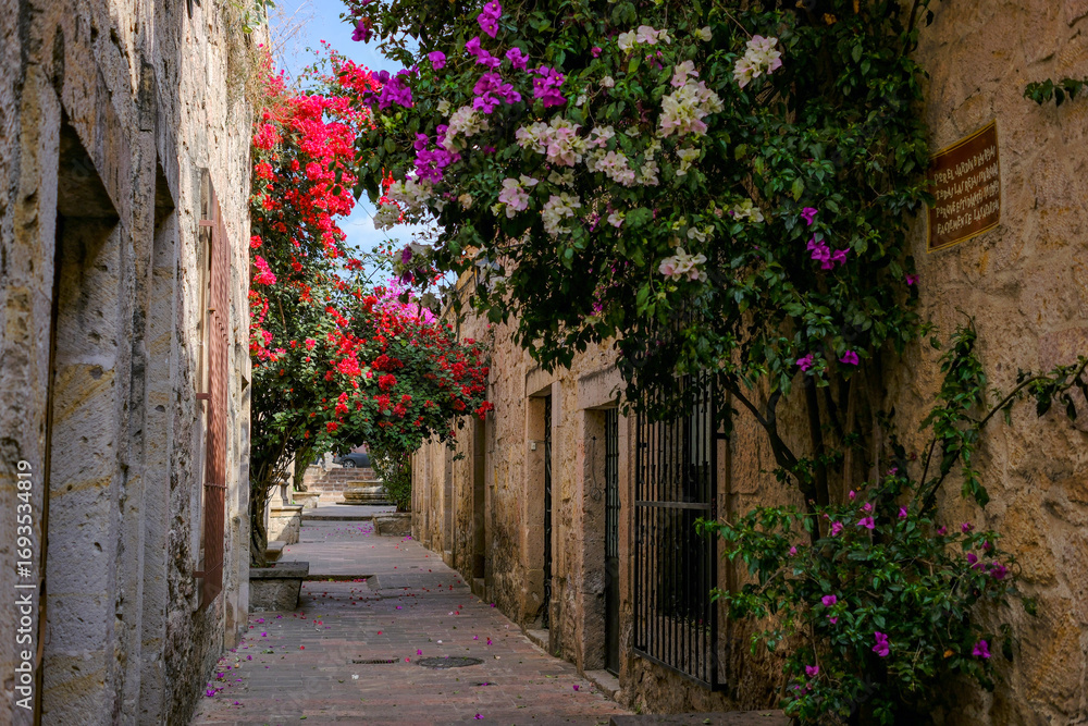 Fototapeta premium Morelia, Mexico - February 17, 2025: The Callejon del Romance or Alley of Romance is a picturesque and romantic cobblestone street located in the historic center of Morelia, Mexico.