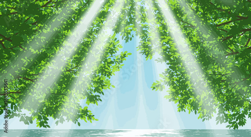Canopy of leaves with sun rays shining through casting light on water below