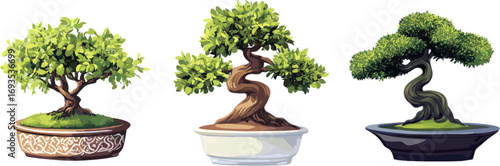 3 sets of bonsai plants in different styles isolated on a white background. Cutout illustration.