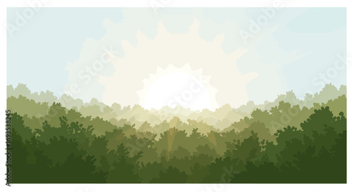 Forests edge at sunrise trees silhouettes against a bright blurred light