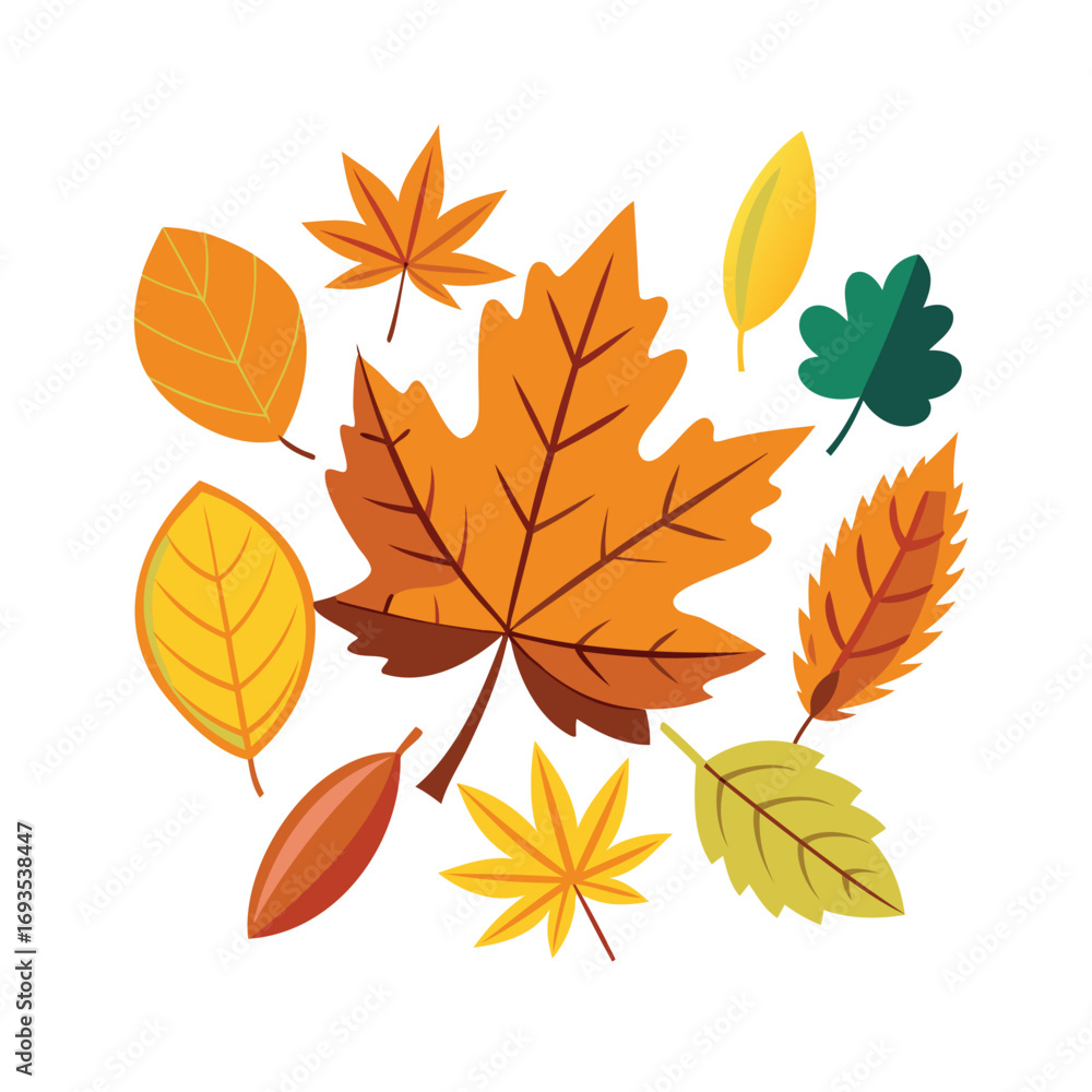 Fototapeta premium Vibrant autumn leaves in various shapes and colors