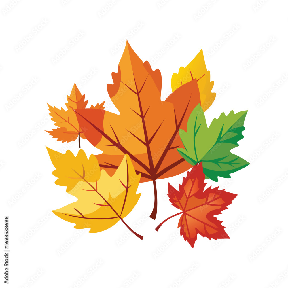 Vibrant autumn maple leaves in a colorful cluster Vibrant autumn maple leaves in a colorful cluster