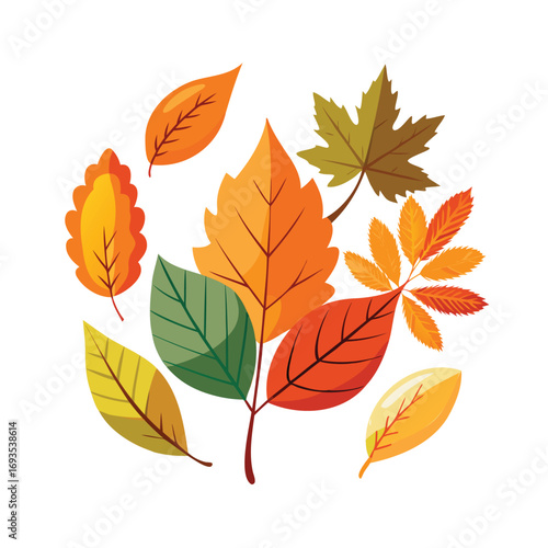 Vibrant assortment of autumn leaves in a circular arrangement